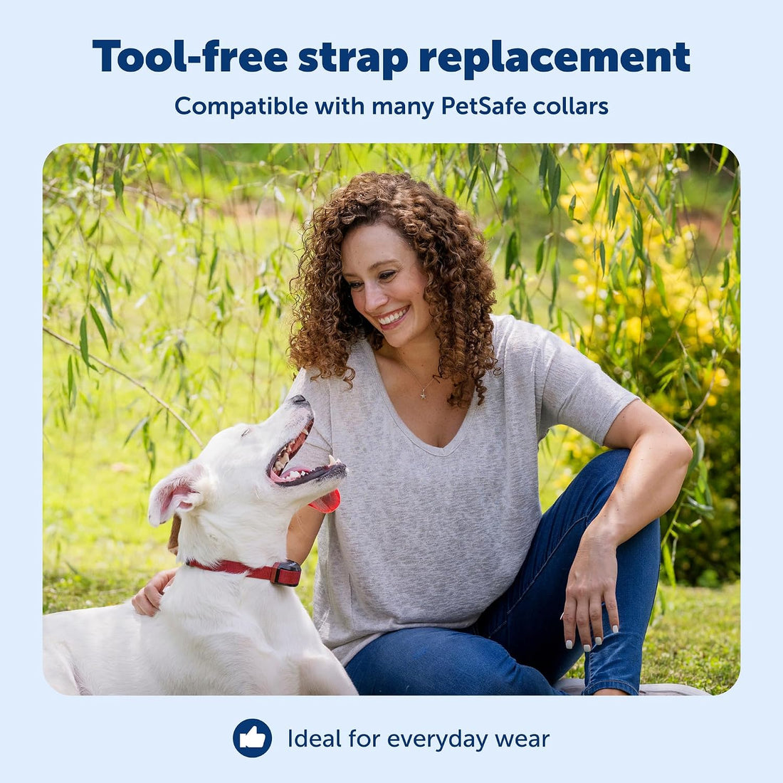 PetSafe 3/4 Inch Replacement Collar Strap, Rust
