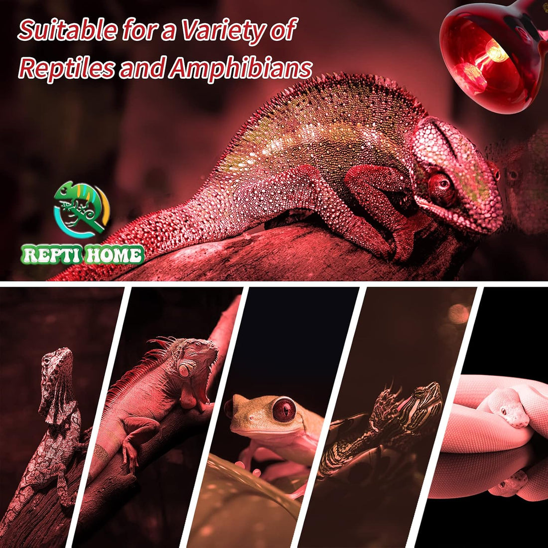 Infrared Reptile Heat Lamp Bulbs,2 PCS 50W Reptiles & Amphibians