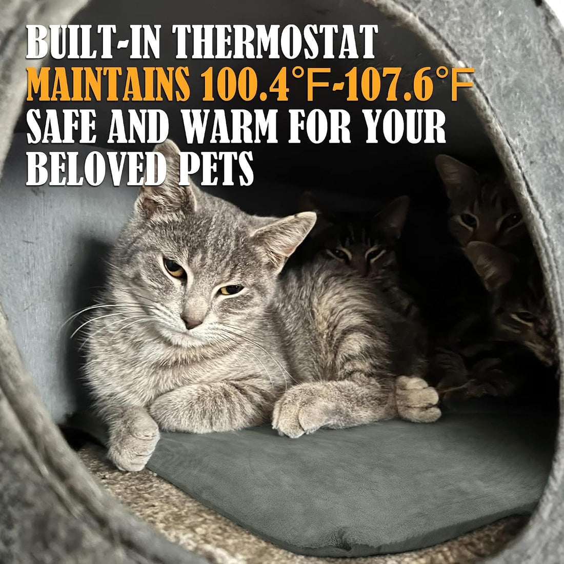 PETNF Outdoor Pet Heating Pad for Cats & Dogs