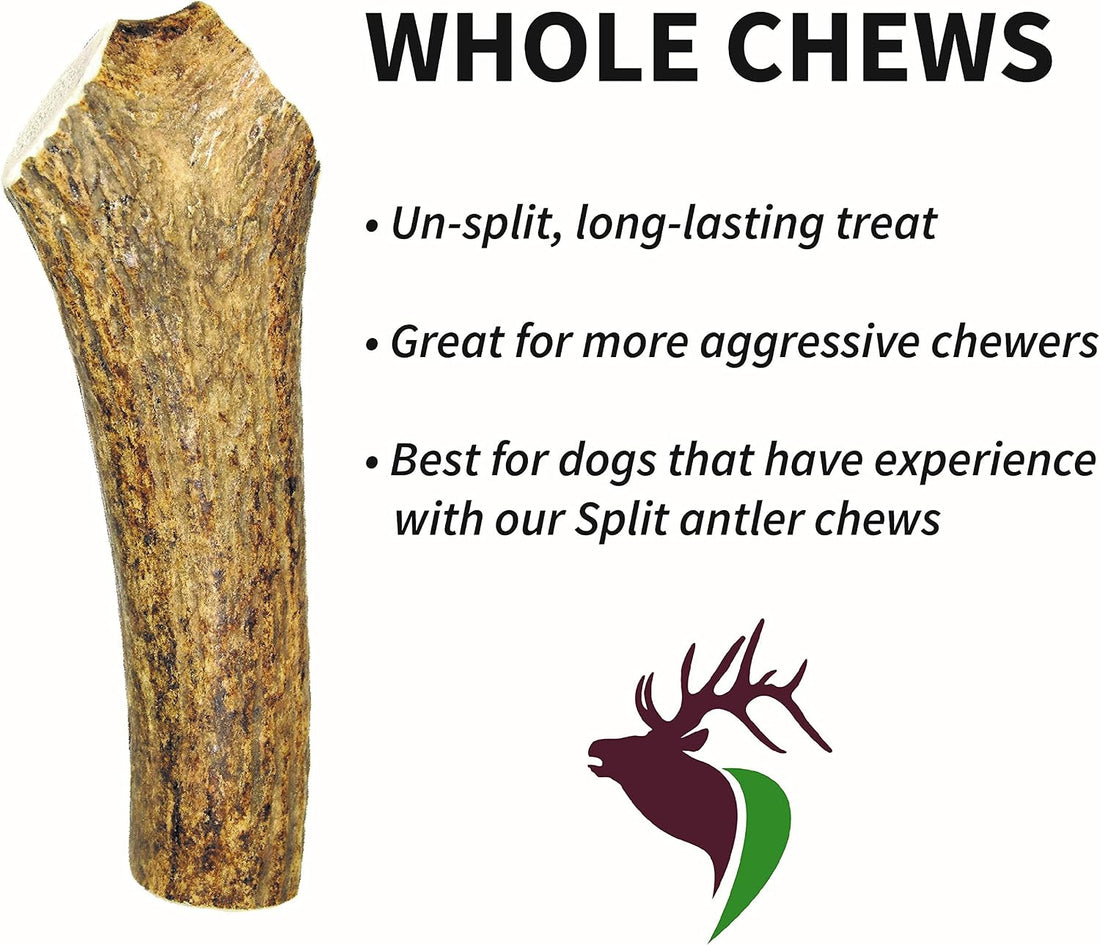 Elkhorn Premium Chews - Large Whole Single Pack Premium Grade Elk