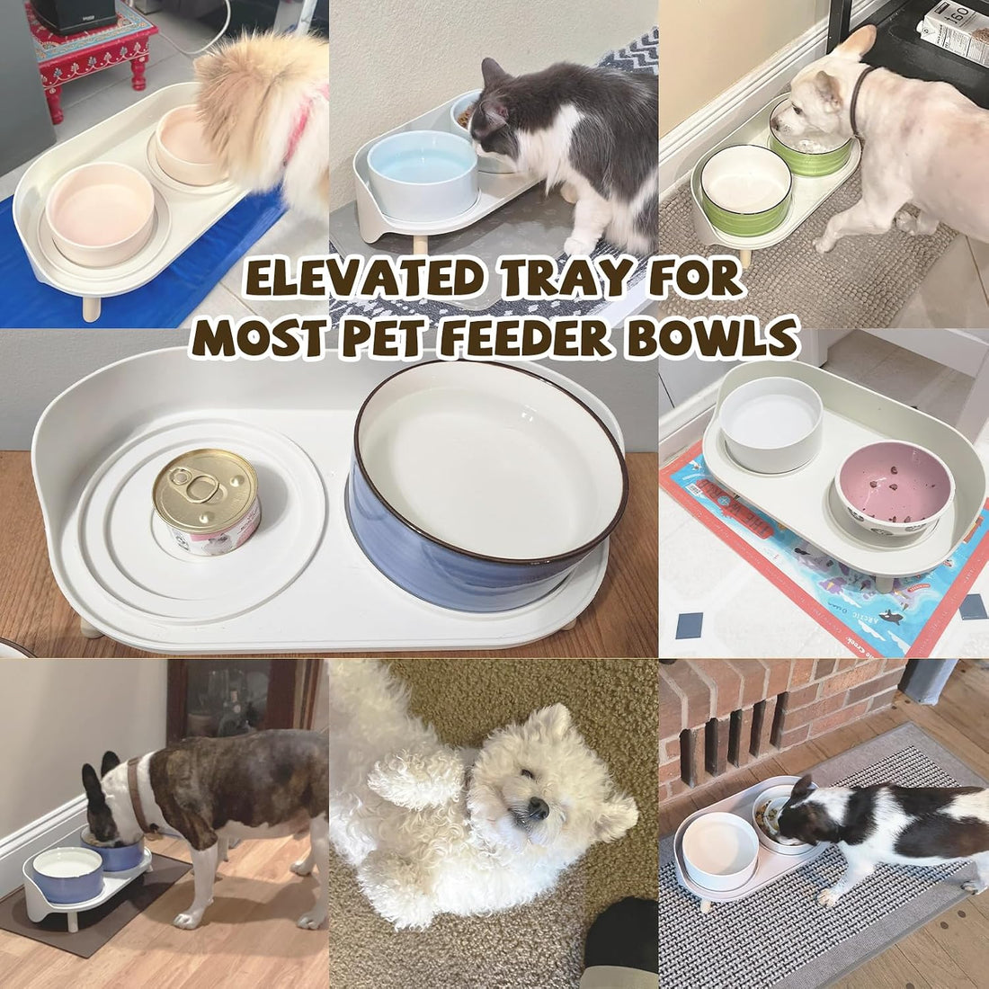 Raised Dog Feeder Bowl Stand