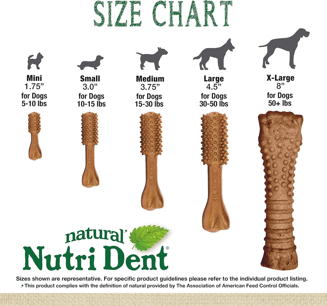Nylabone Nutri Dent Dog Dental Chews