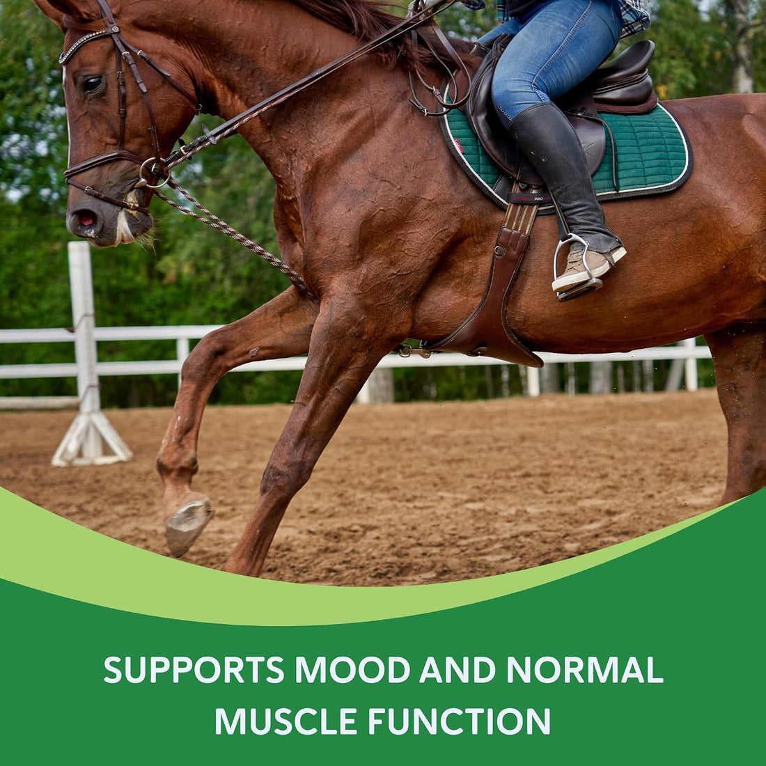Equine Calming Supplement for Mares, Supports Balanced Behavior