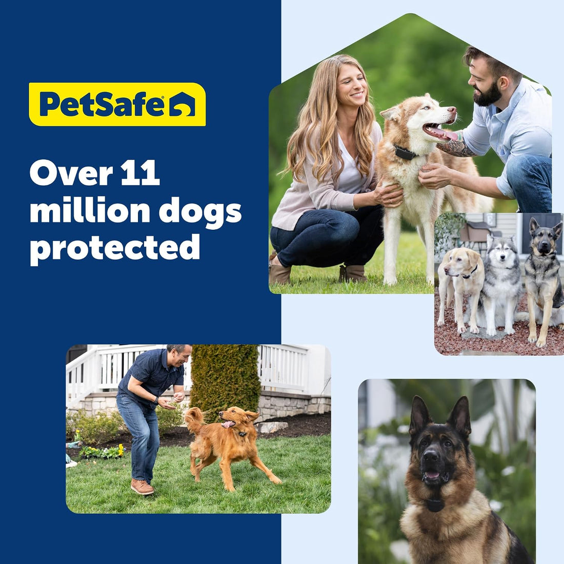 PetSafe Classic In-Ground Fence Collar