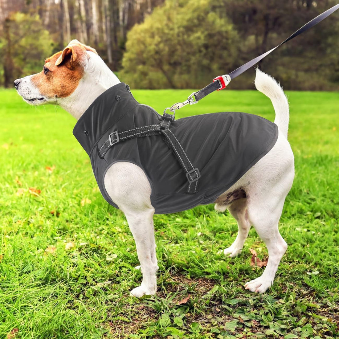 Dog Raincoat Waterproof Dog Hoodie Reflective Dog Raincoat Hooded