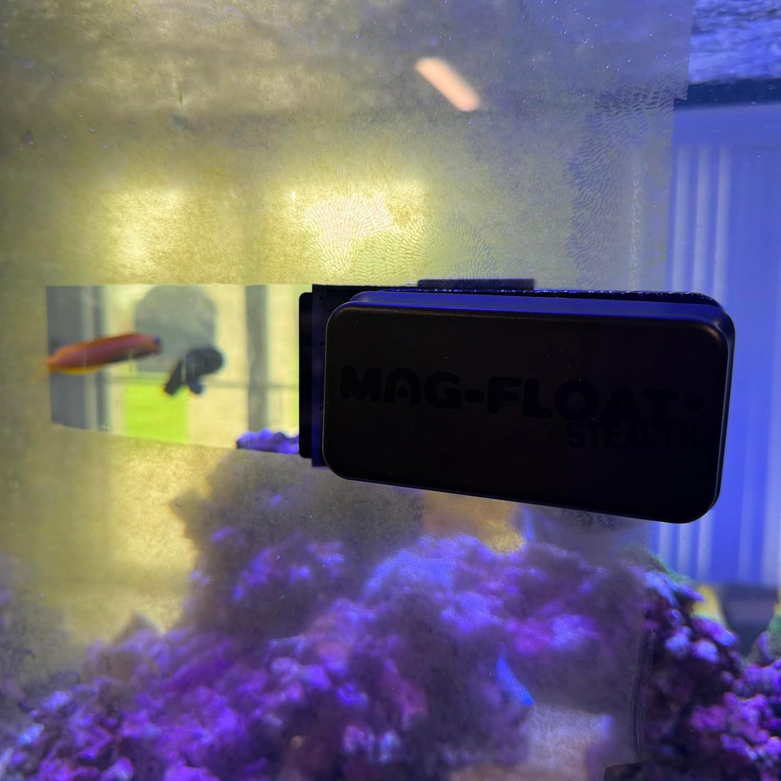 Mag-Float Medium Black Stealth Glass Magnet Aquarium Scraper Cleaner