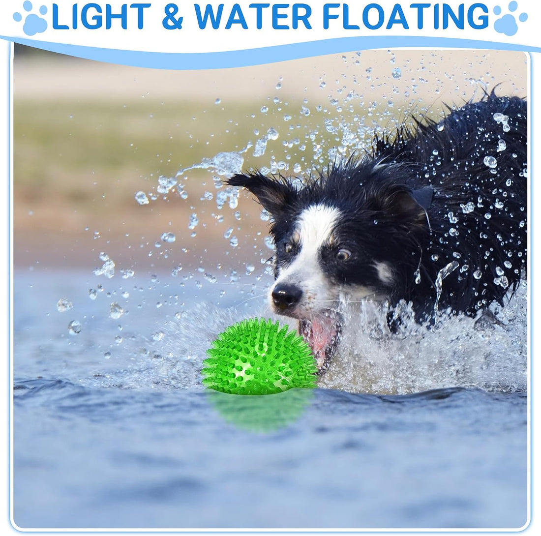 LECHONG 4-Pack Large Squeaky Dog Balls