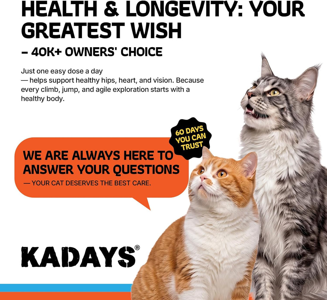 Liquid Glucosamine for Cats 2-Pack