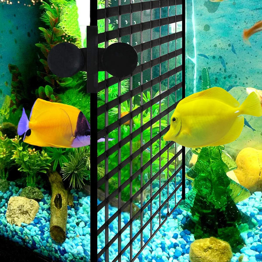 WEAVERBIRD 2 Pcs Aquarium Divider Tray Plastic Grid Divider Tray Egg
