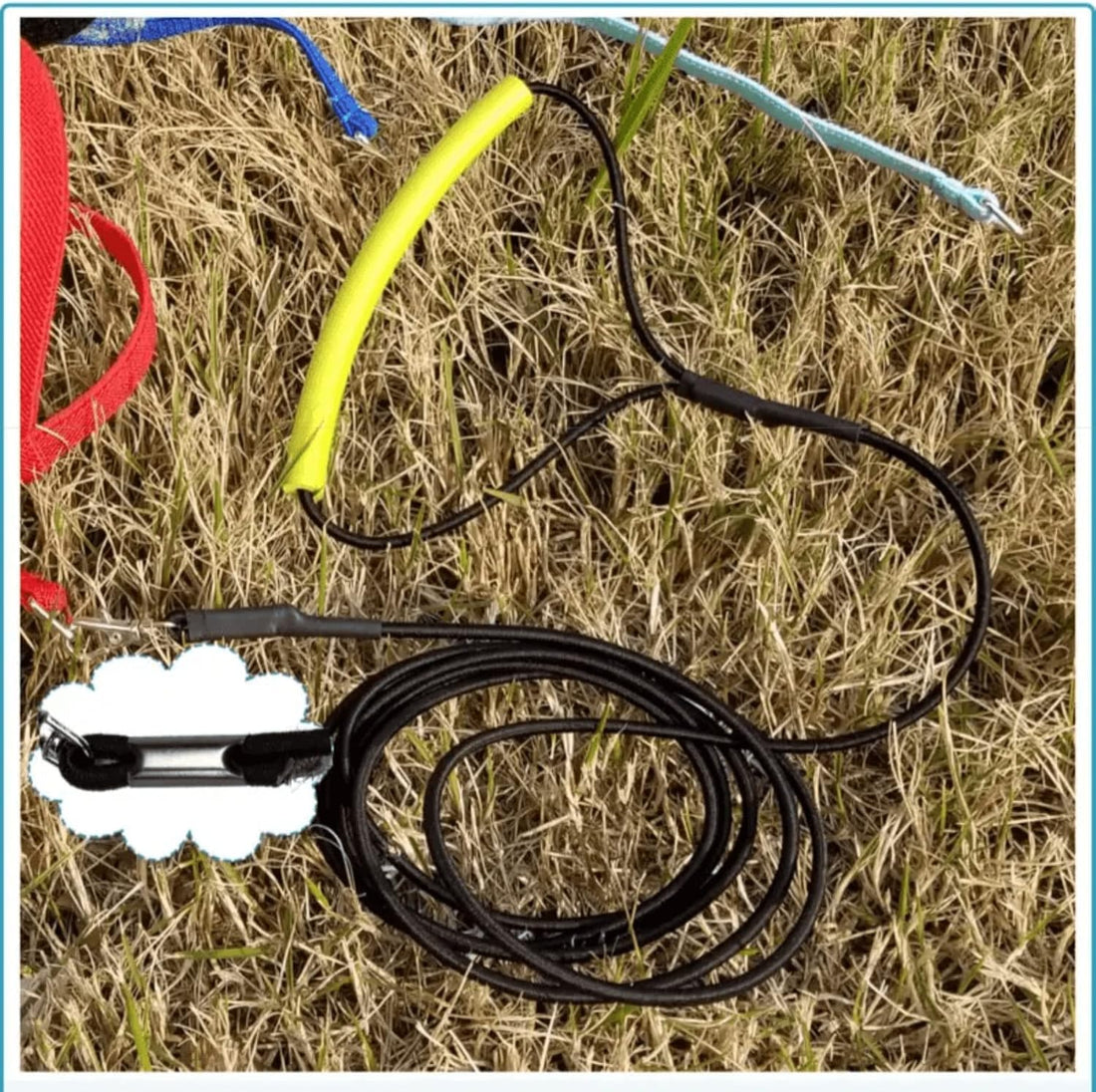 Pet Parrot Bird Harness Leash Adjustable Bird Flying Harness Traction