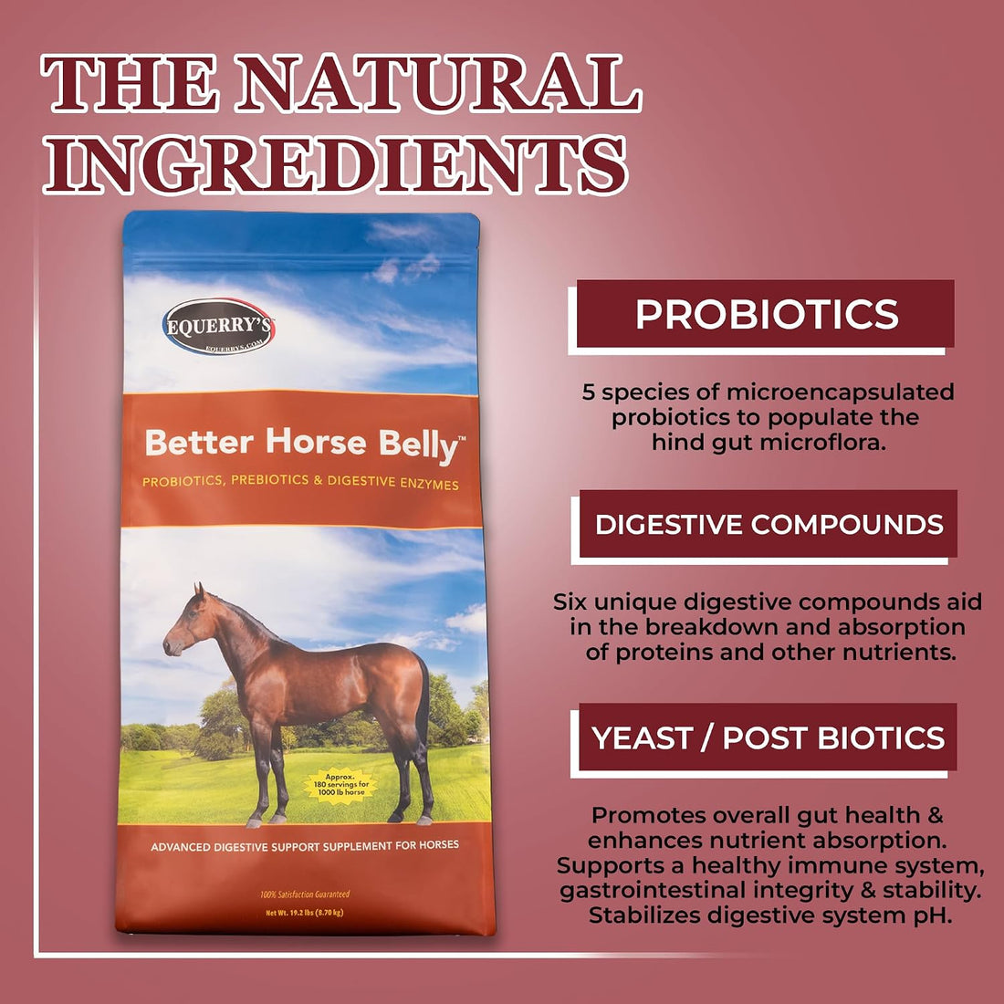 EQUERRY'S Better Horse Belly - Supplement for Horses with Gut Support