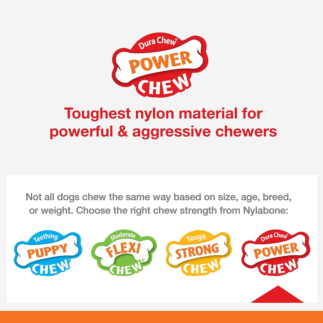 Nylabone Lobster Power Chew Toy for Dogs
