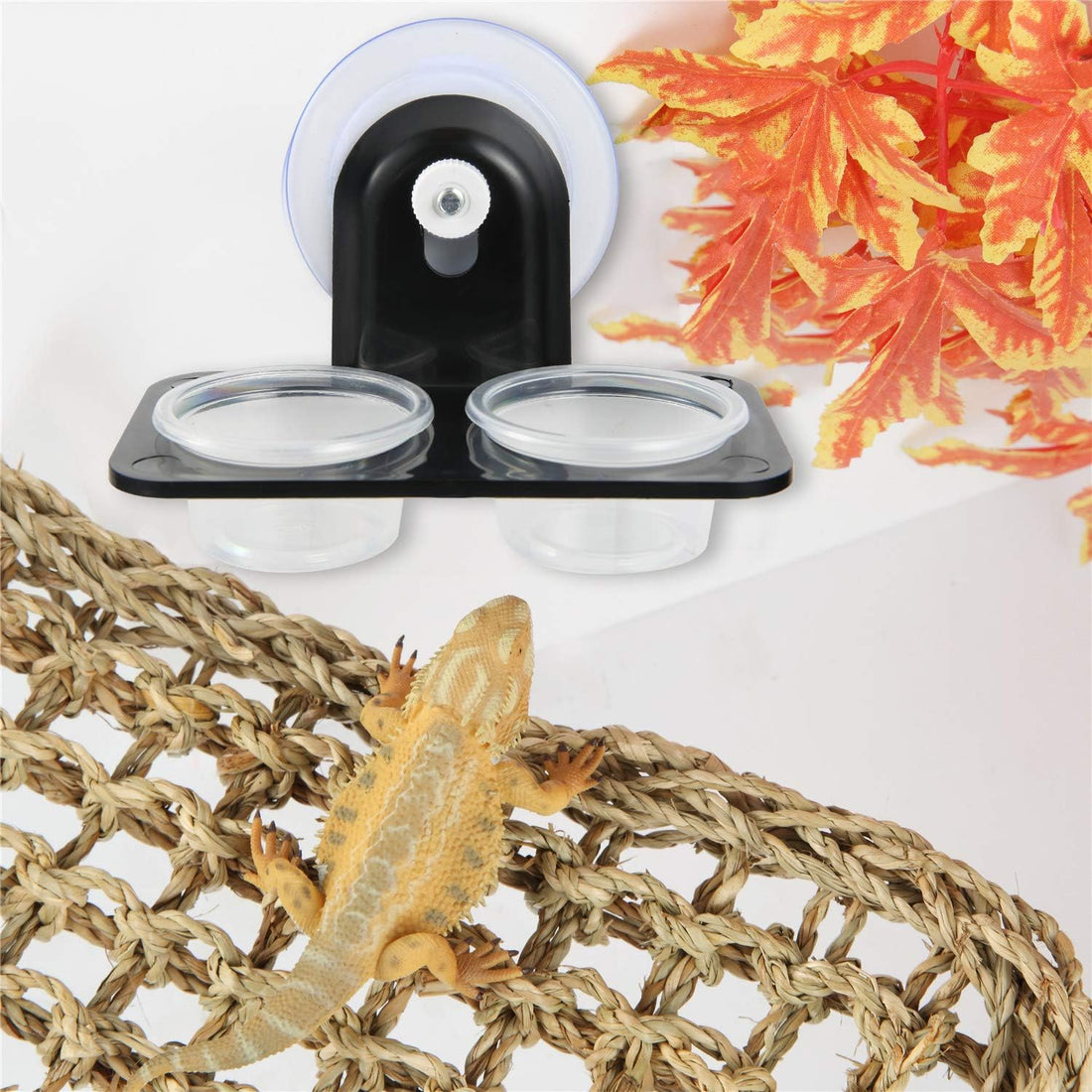 SLSON Gecko Feeder Ledge Acrylic Improved Suction Cup Reptile Feeder