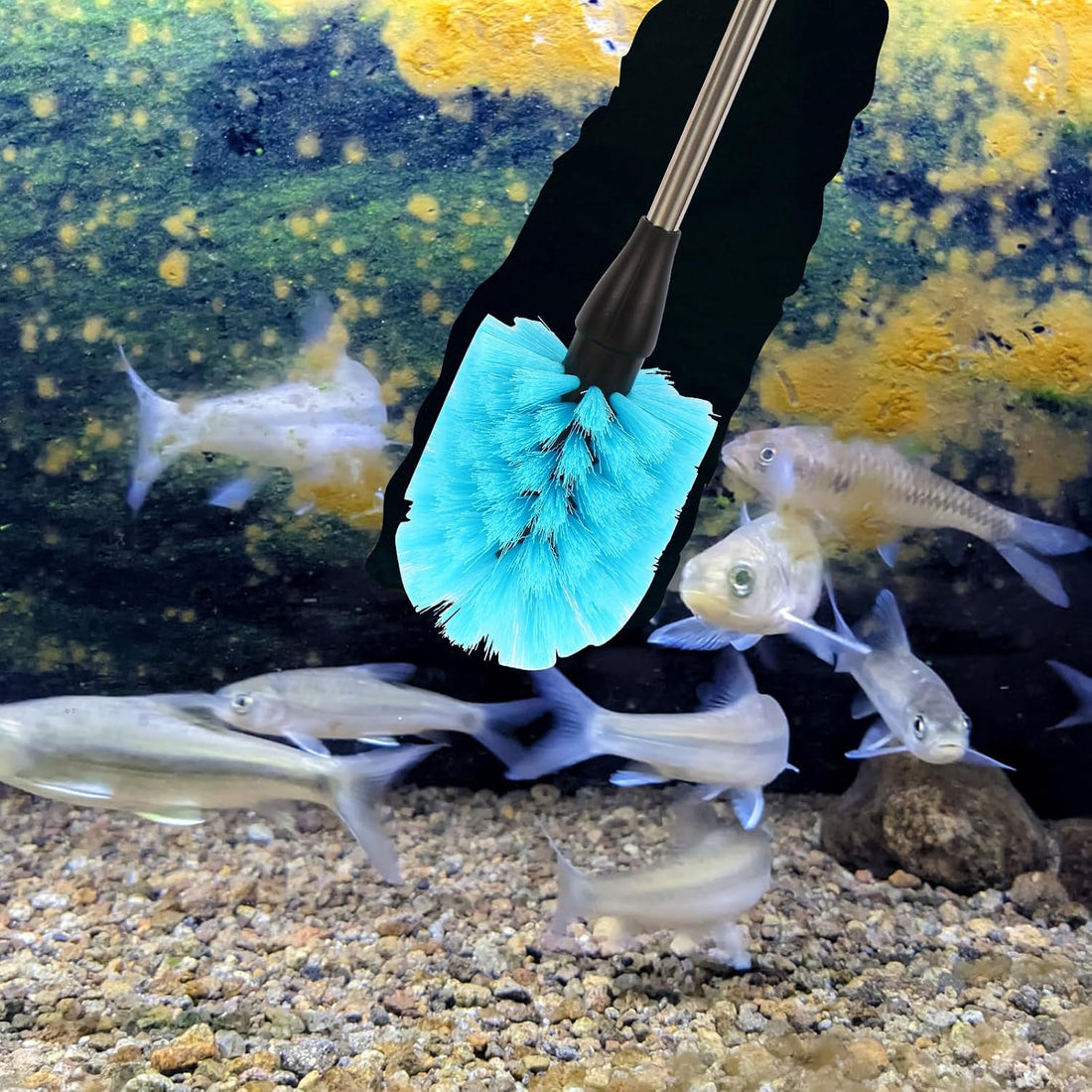 Fish Tank Cleaning Tools, Aquarium Gravel Brush