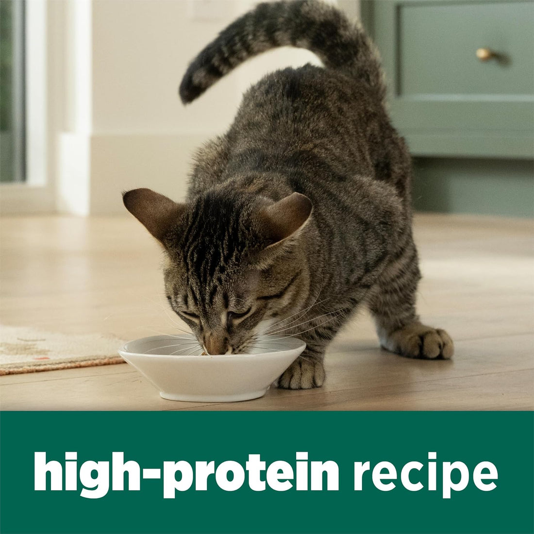 Purina Cat Chow Naturals With Added Vitamins