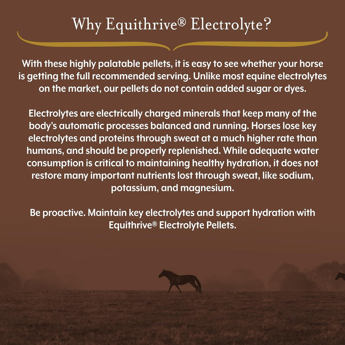 Equithrive Electrolyte Pellets Horse Supplement, 4 lbs, 20 Day Supply