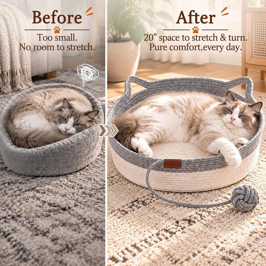 Large Instinct Basket for Cats: 20 Inch Space to Stretch & Turn