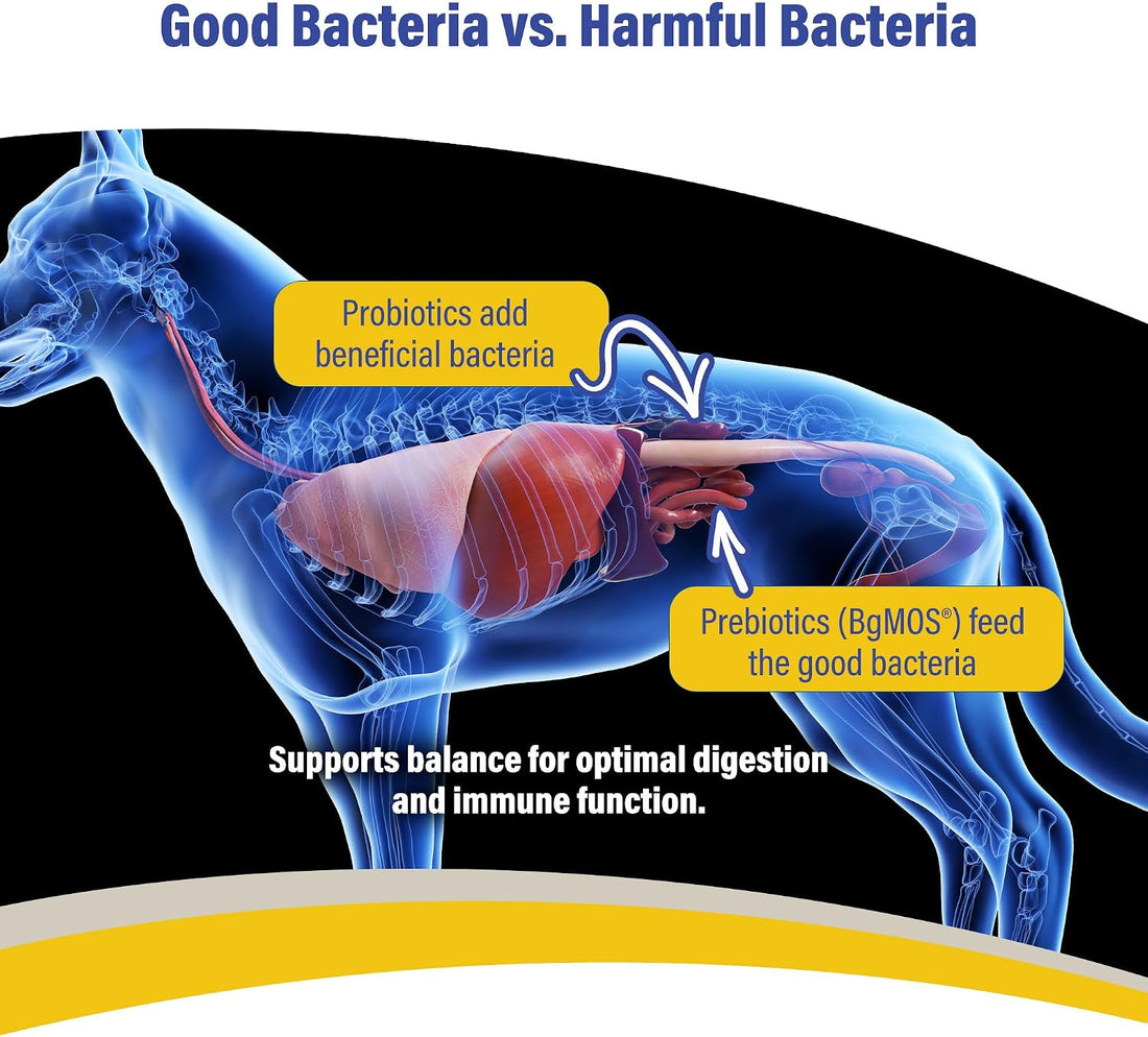Doc Roy's GI Synbiotics Prebiotic & Probiotic Granules for Dogs & Cat