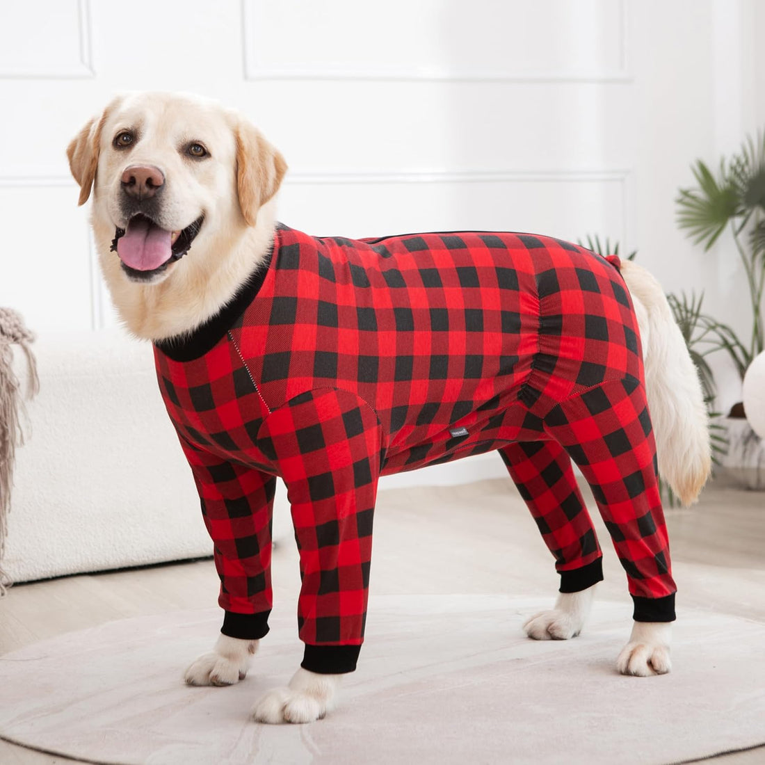 Dog Recovery Suit Full-Zipper After Post-Surgery Large Medium Dogs