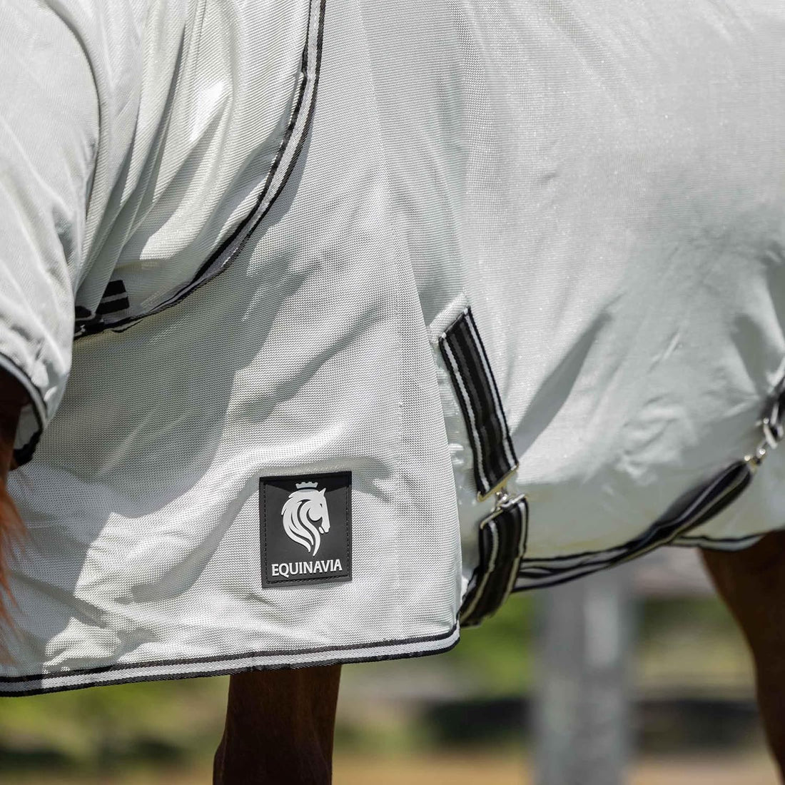 Equinavia Brisk Mesh Horse Fly Sheet with Neck Coverage, UV Protection