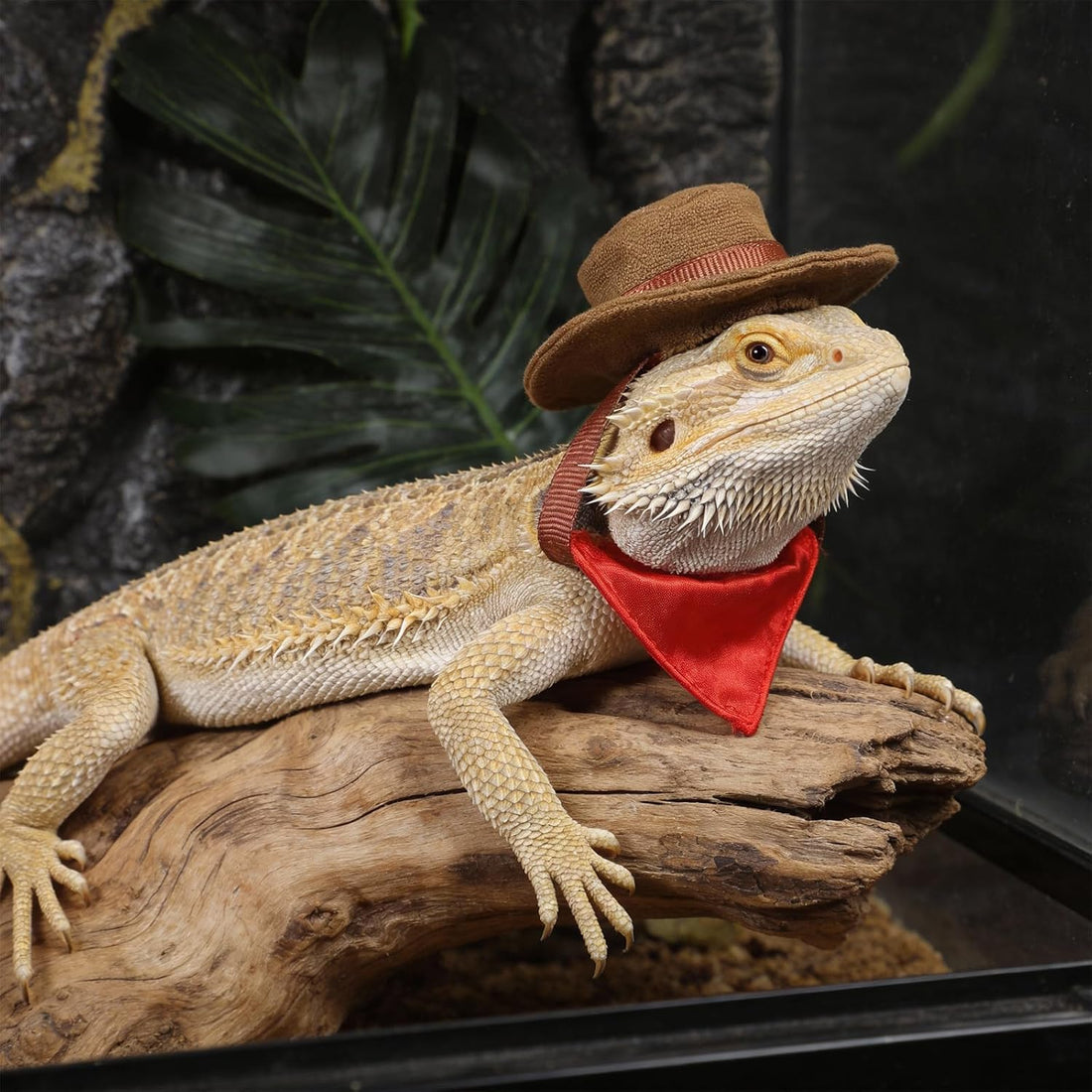 2Pcs Bearded Dragon Hat and Bandana Set Adjustable Lizard Cowboy Hat