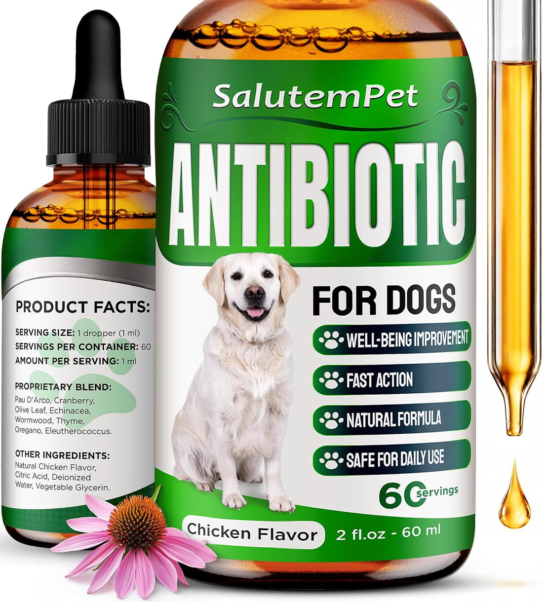 Dog Antibiotics for Infections, Cough, & Itching