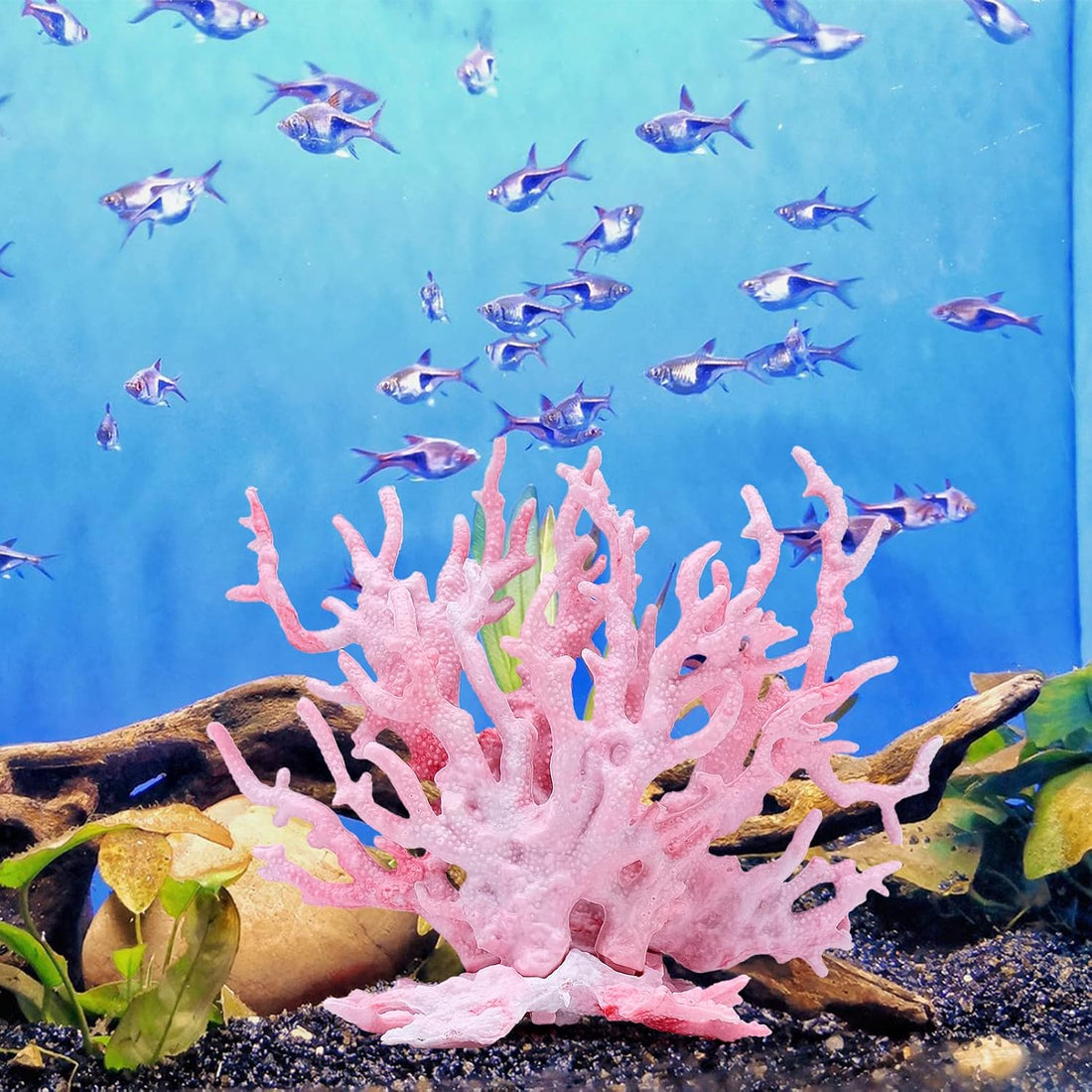 2 PCS Aquarium Coral Ornament, Blue Pink Coral Reef Decor