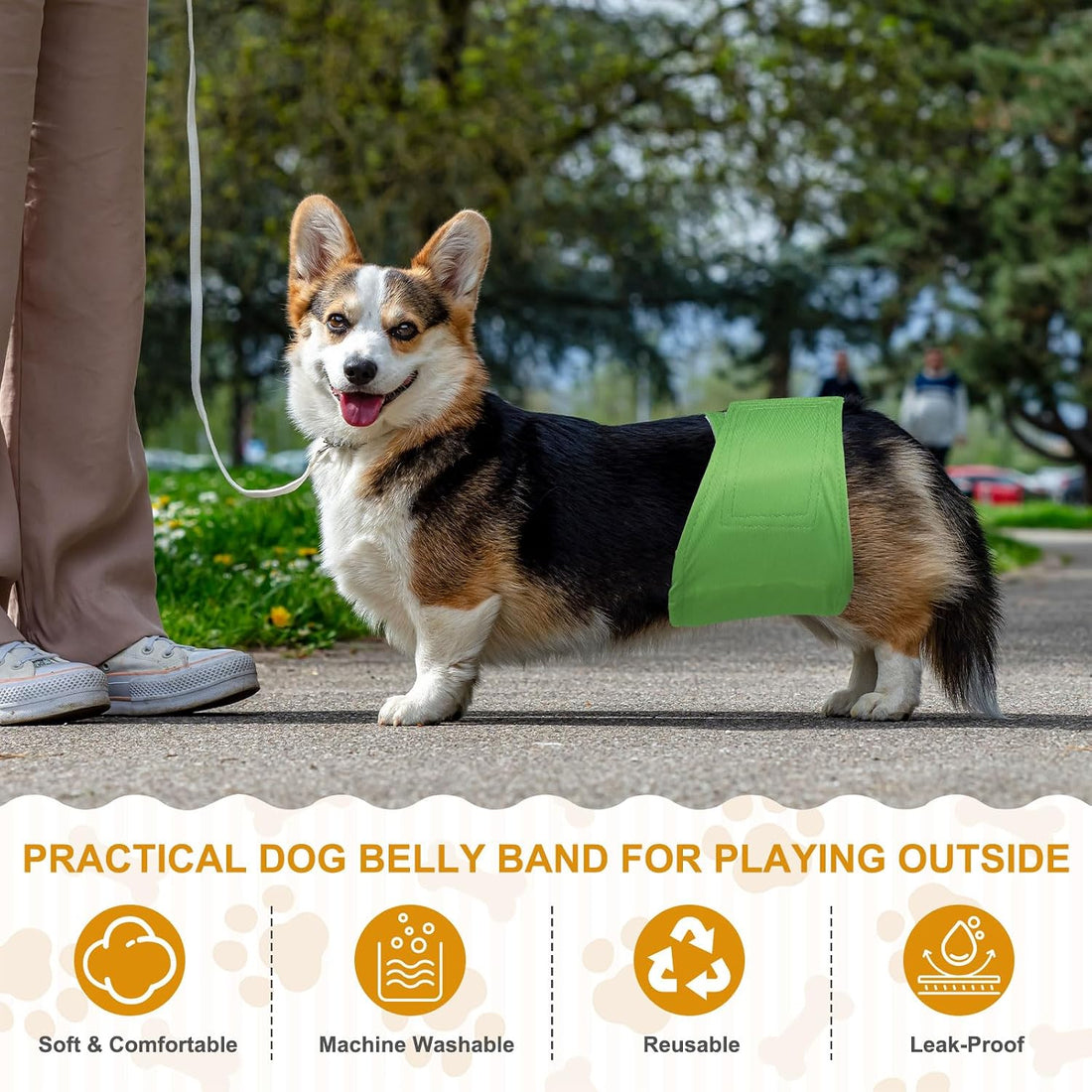 Belly Bands for Male Dogs,3Pcs