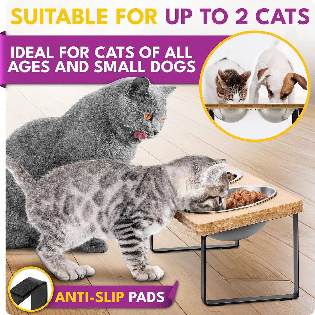 Raised cat Bowls for Indoor Cats by WinTruffles, Elevated cat Bowls