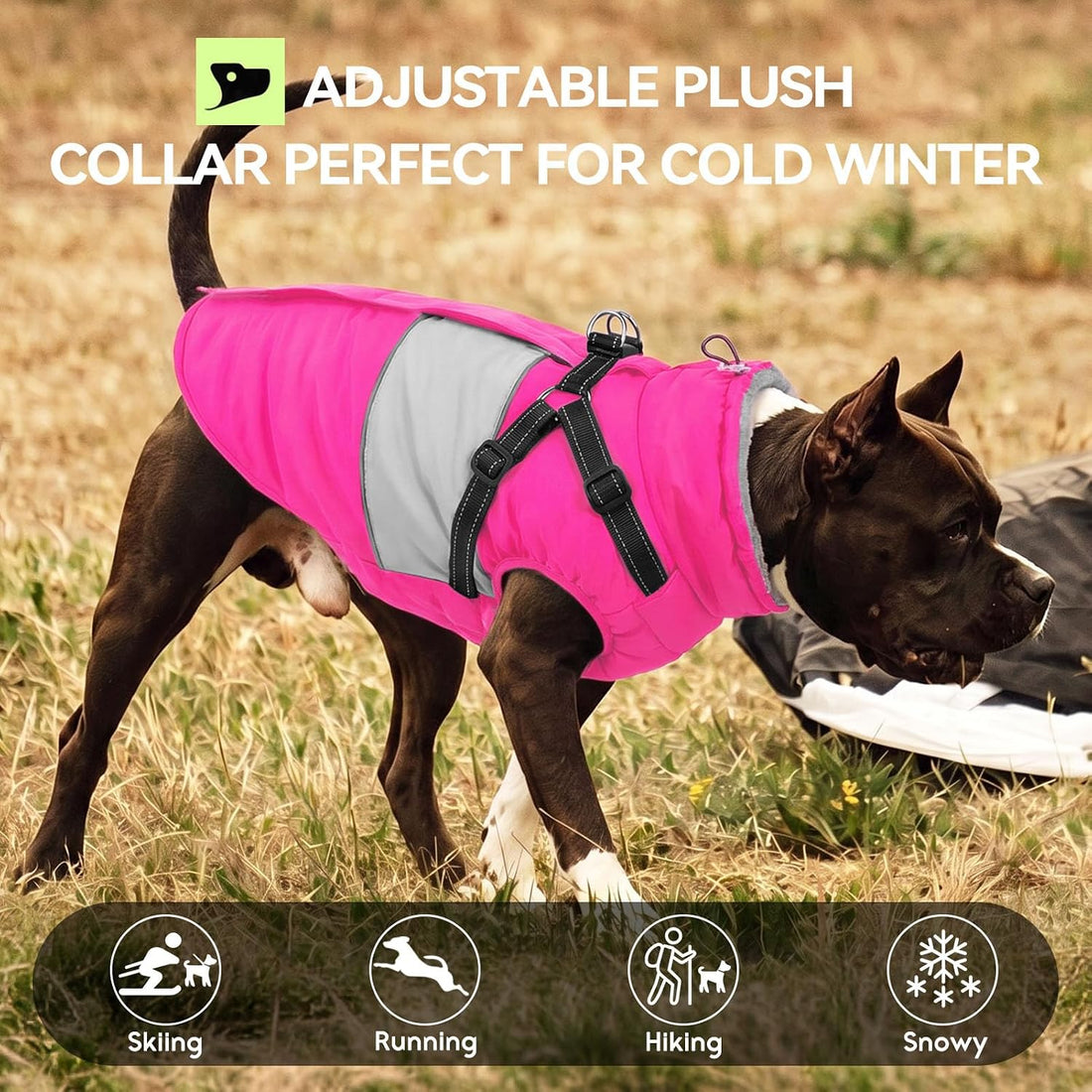 Warm Dog Coat with Harness Built in Dog Jacket for Small Dogs