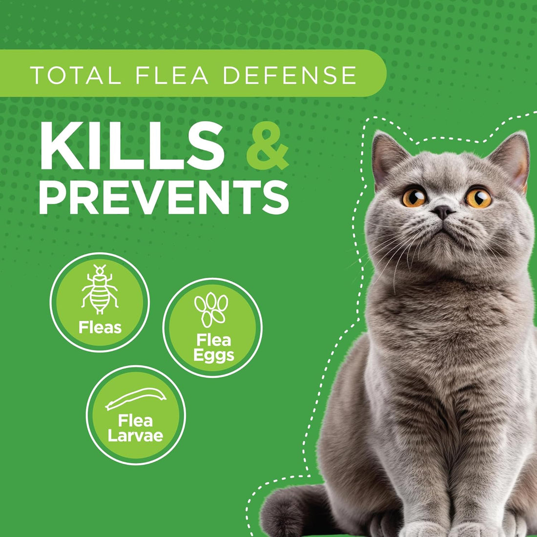 TevraPet Actispot II Flea Treatment for Large Cats 9+ lbs | 6 Doses