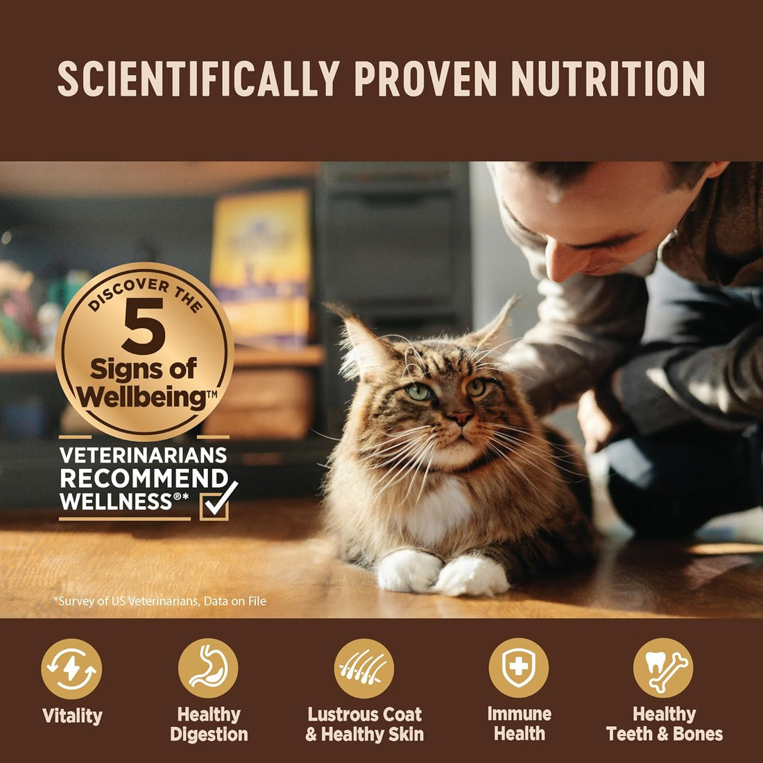 Wellness CORE Tiny Tasters Pate Variety Pack Adult Wet Cat Food