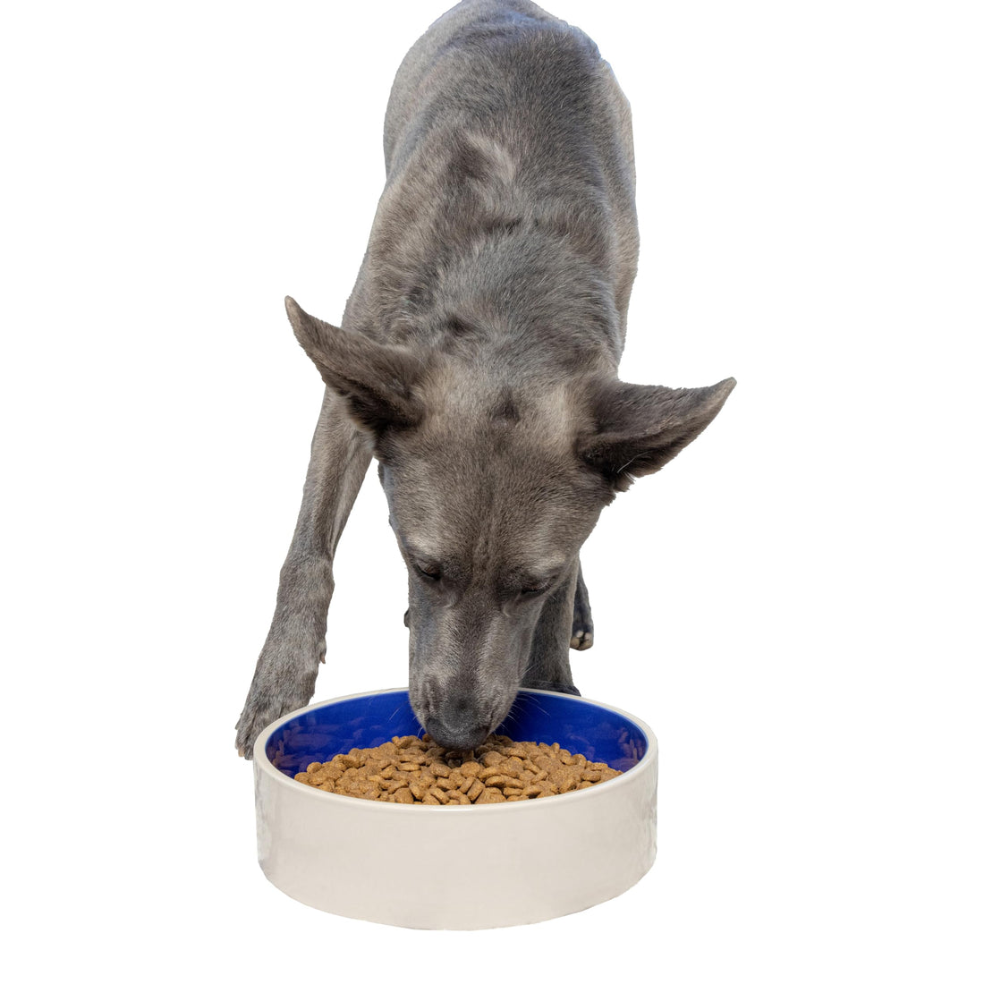 SPOT Standard Crock Dish - Heavy Duty, Non-Slip