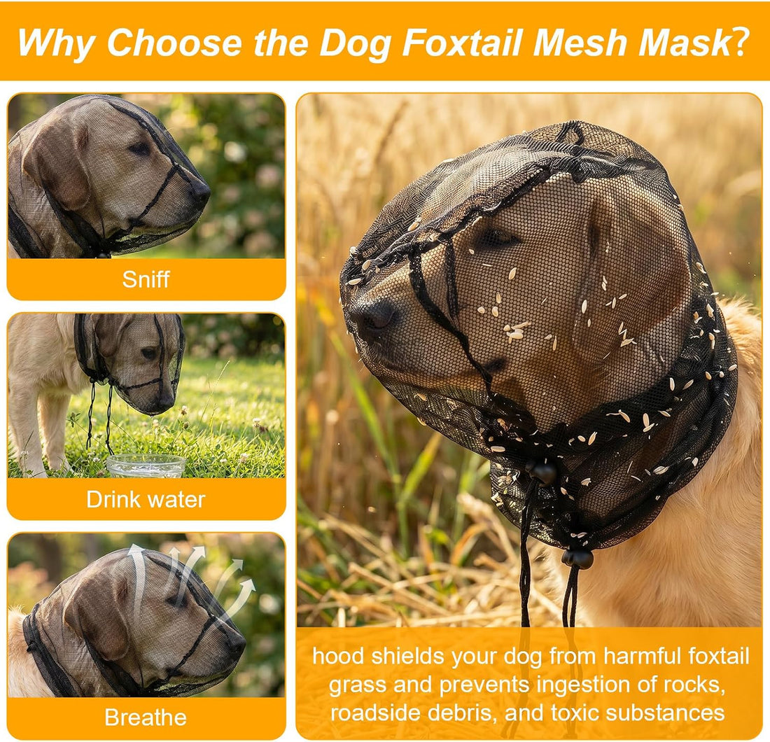 Foxtail Mask for Dogs Head Protector Foxtail Protection for Dogs
