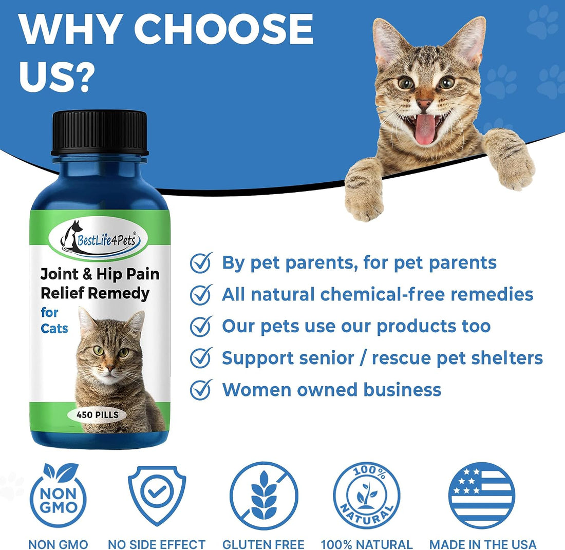 Cat Joint Supplement and Mobility Support