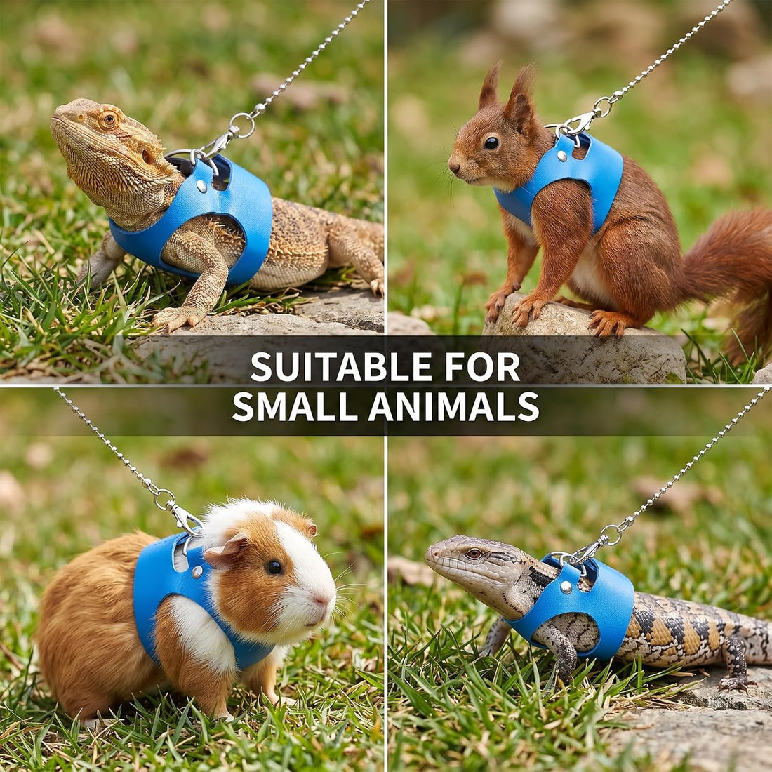 3 Pcs Bearded Dragon Leash and Harness Set 3 Sizes Lizard Harness