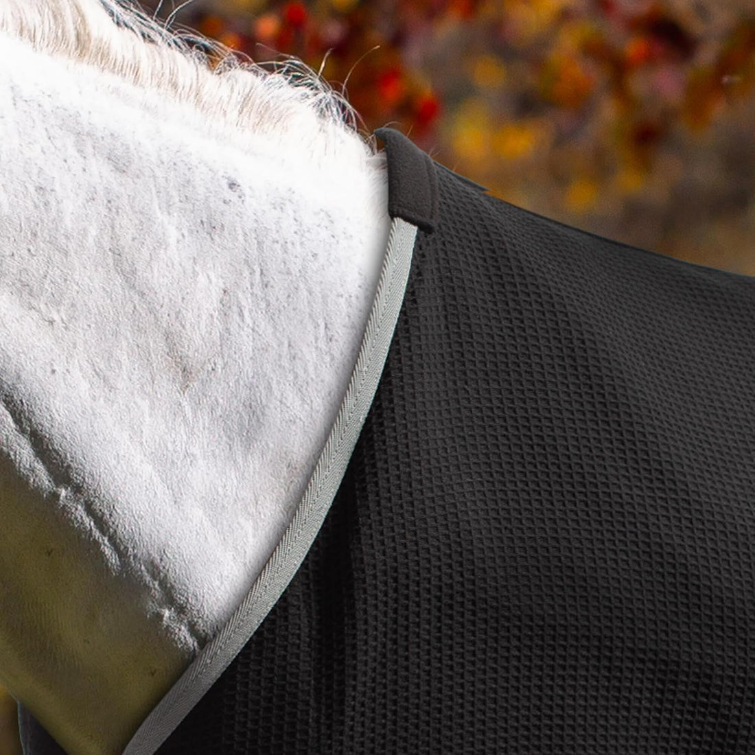 Equinavia Luftig Waffle Horse Cooler Blanket, Cotton, Moisture Wicking