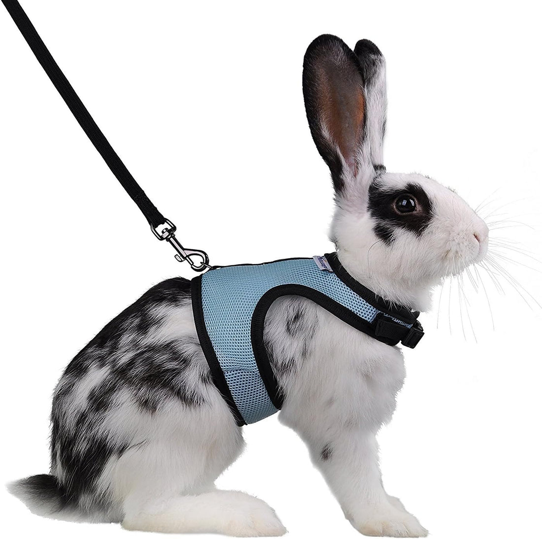 Niteangel Adjustable Soft Harness with Elastic Leash for Rabbits