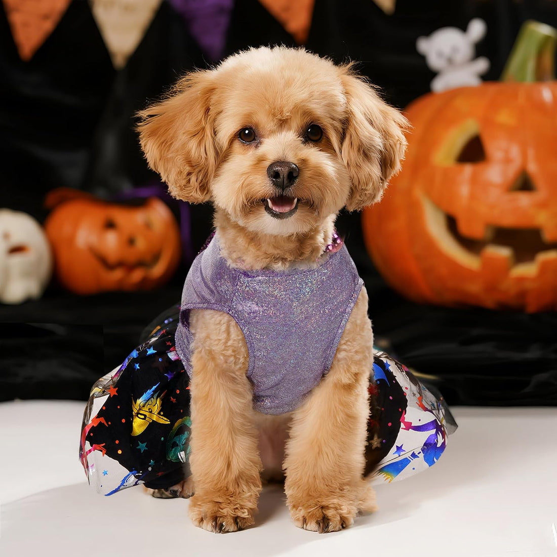 Dog Halloween Costume Dog Dress Witch Tulle Skirt Halloween Pet