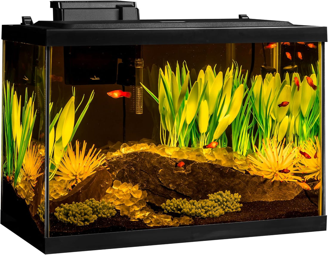 Tetra ColorFusion 20 Gallon Complete Aquarium Kit
