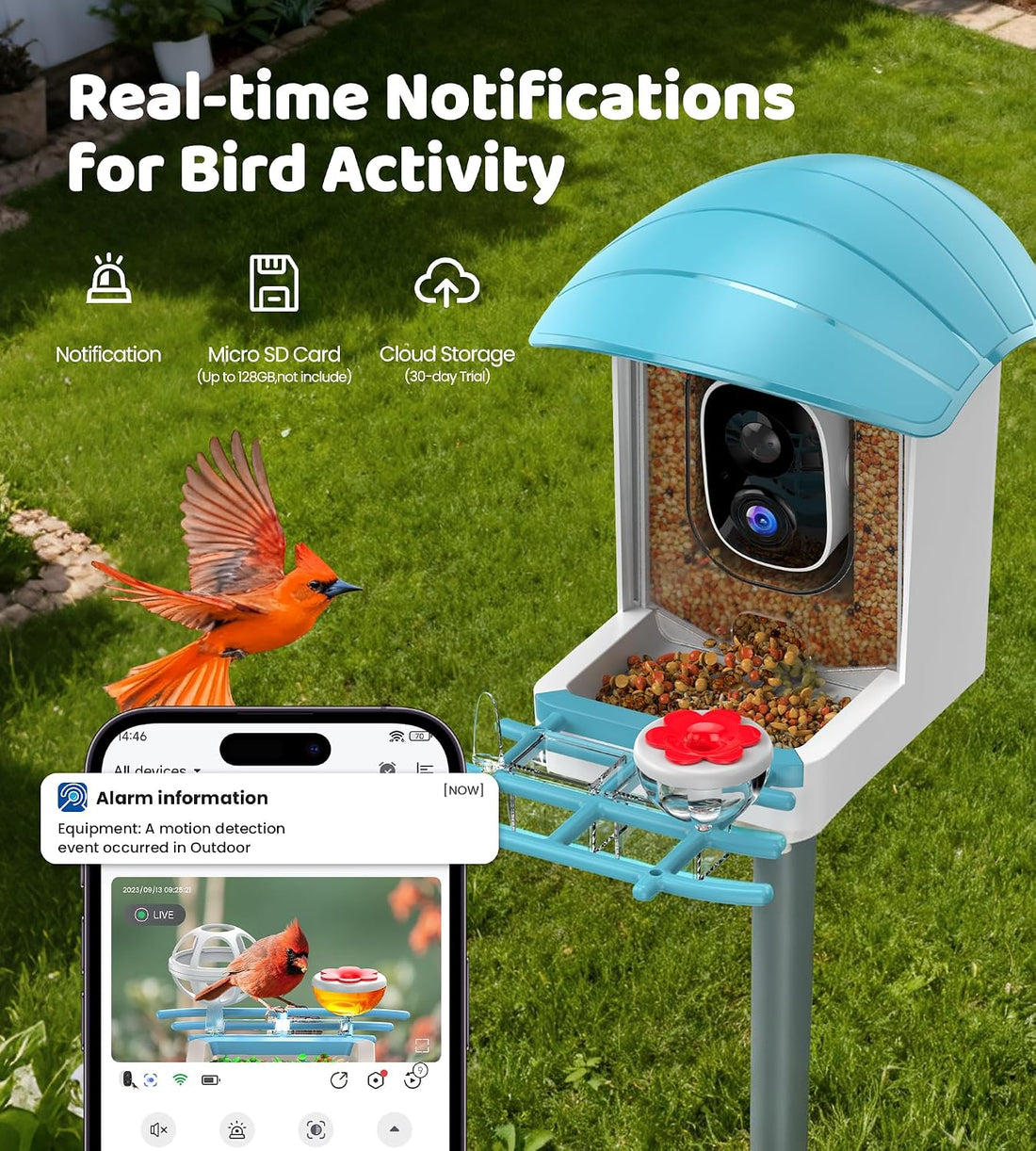 Bird Feeder with Camera Solar Powered