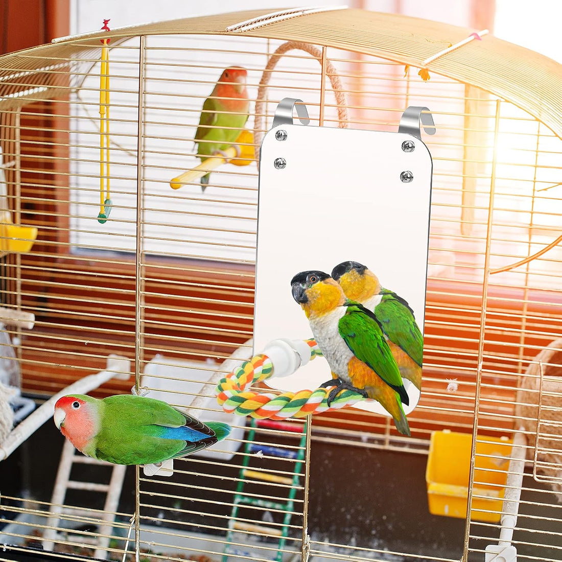 7" Bird Mirror for Cage, Parakeet Cockatiel Parrot Mirror with Rope
