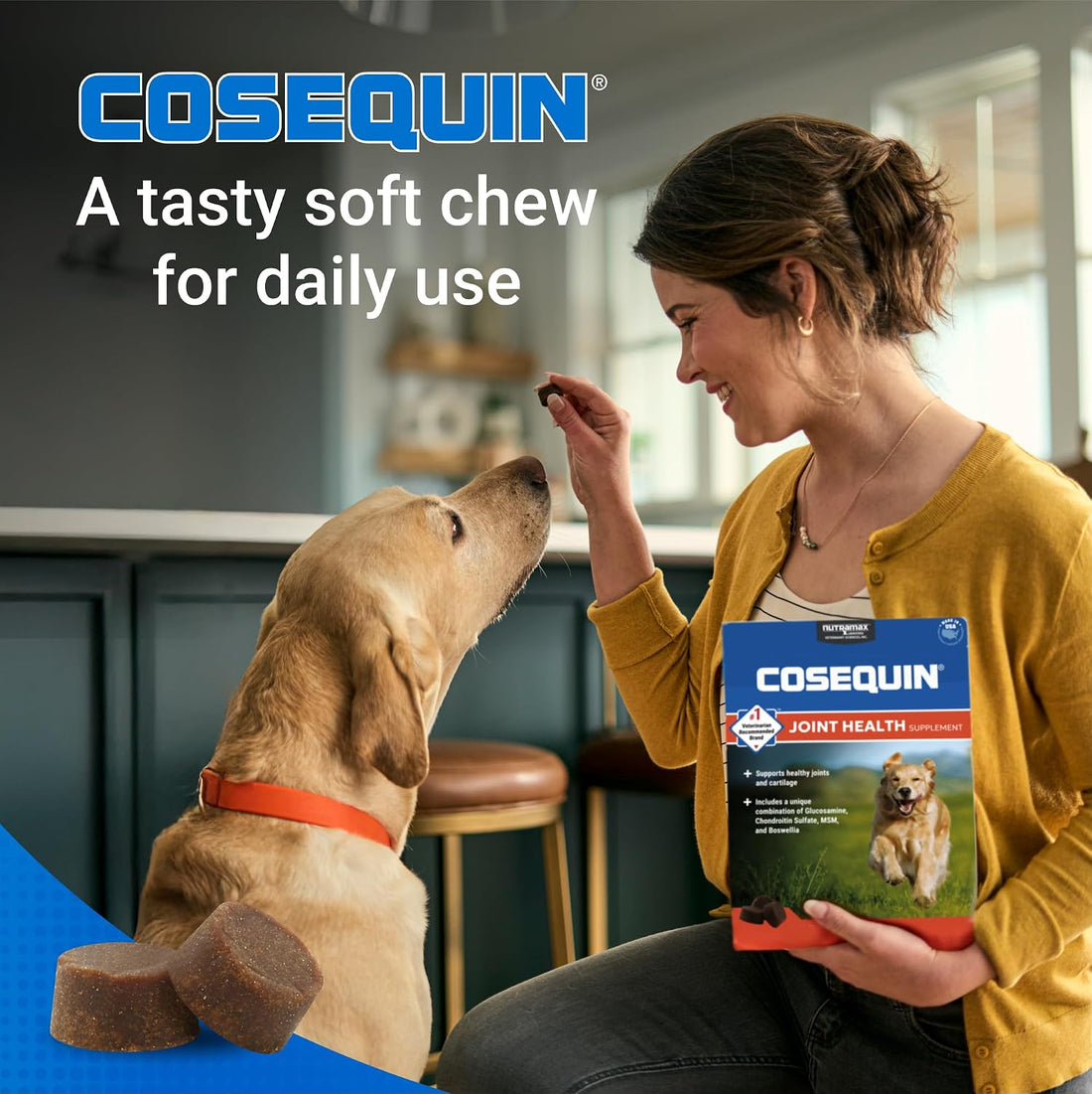Nutramax Laboratories Cosequin DS Plus MSM Professional Line for Dogs