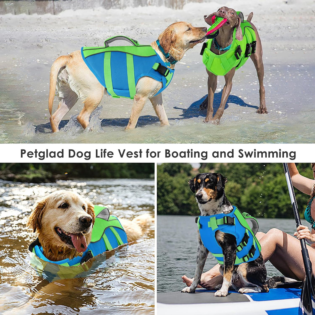 Petglad Dog Life Jacket with Handle Adjustable Swim Vest, Blue & Green