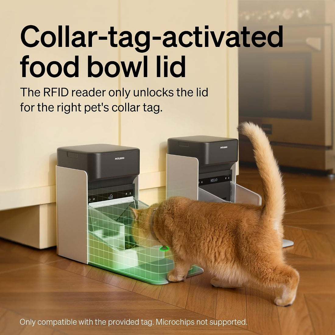 PETLIBRO RFID Automatic Cat Feeder
