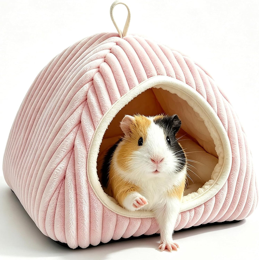 Guinea Pig Hideout Bed, Dwarf Bunny Enclosed Cave