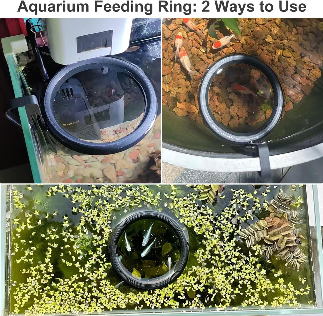 Clip On Fish Feeding Ring Self-Adjusting to Water Level for Betta