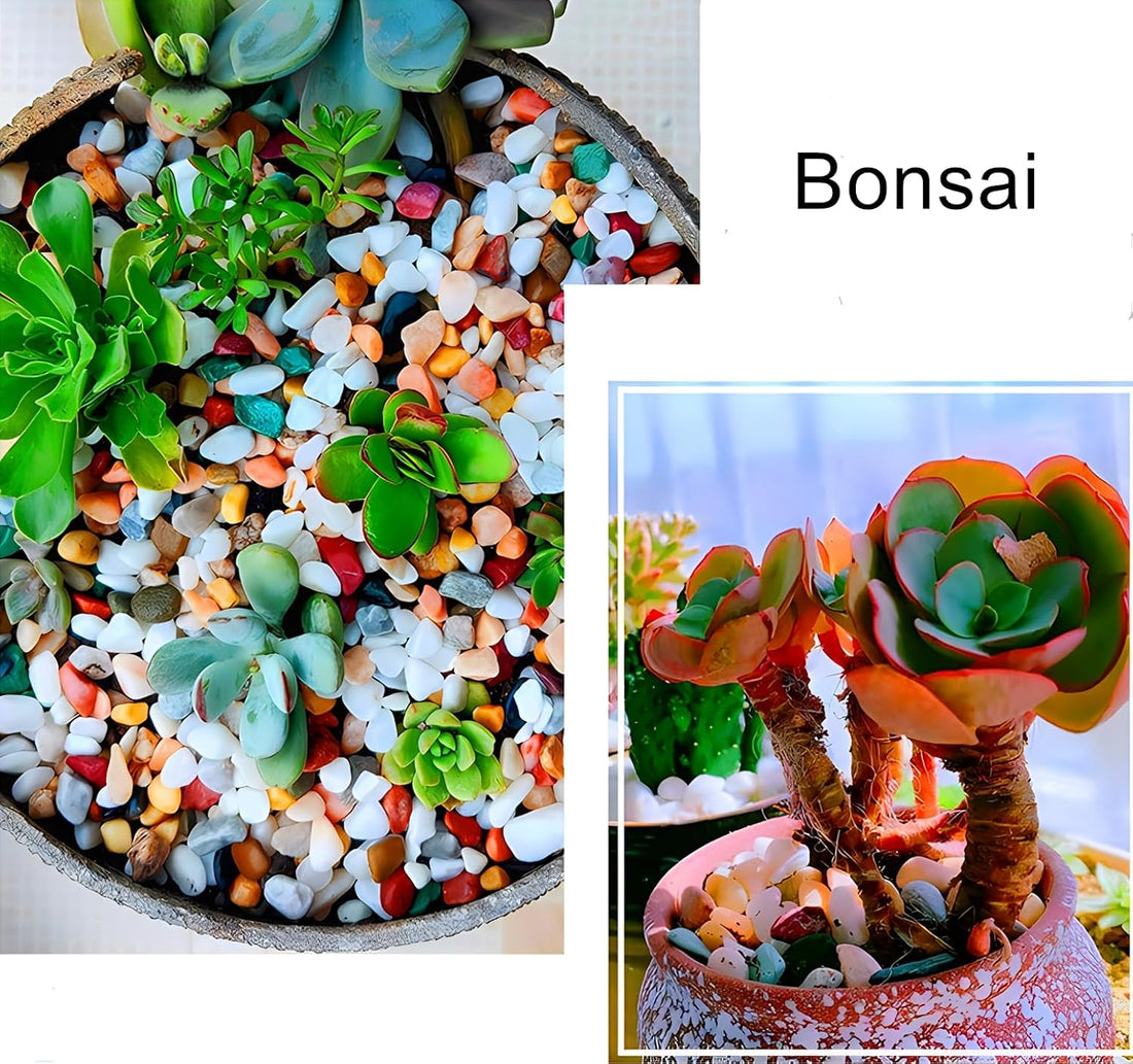 Small Aquarium Gravel for Fish Tank