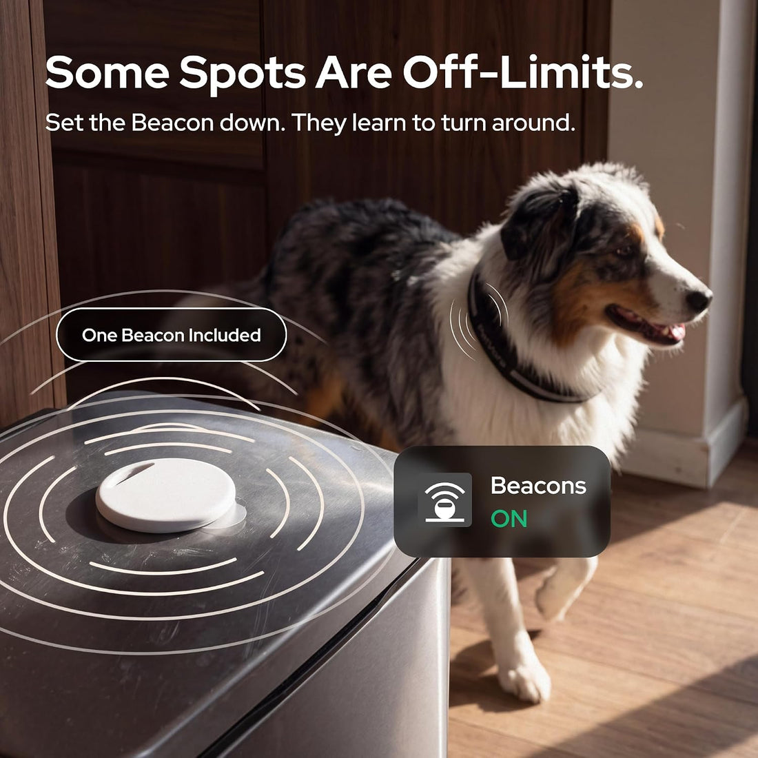 Smart Collar GPS Dog Collar, Real-Time Tracking & Escape Alerts