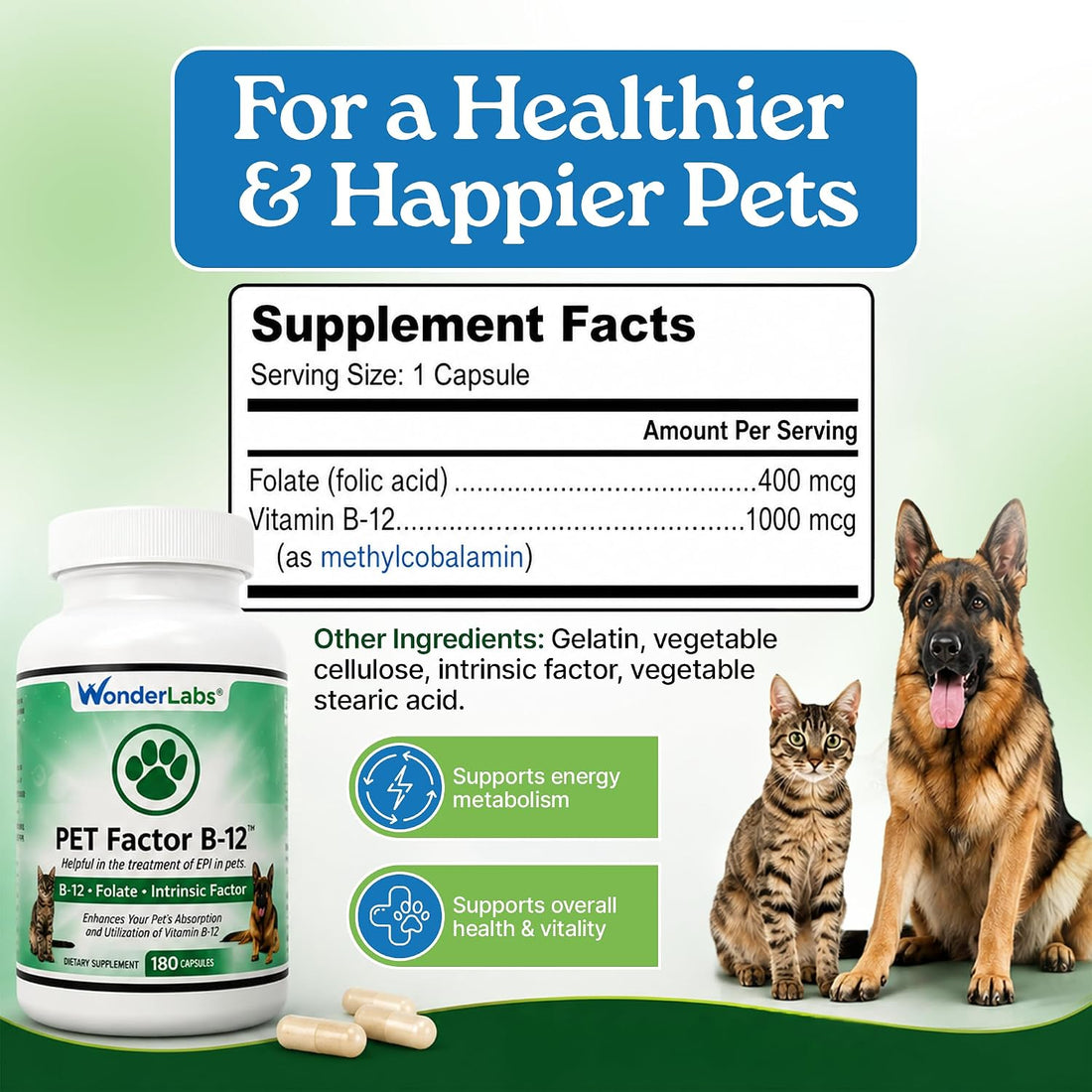 Wonder Laboratories Vitamin B12 - Methylcobalamin Dog Supplement